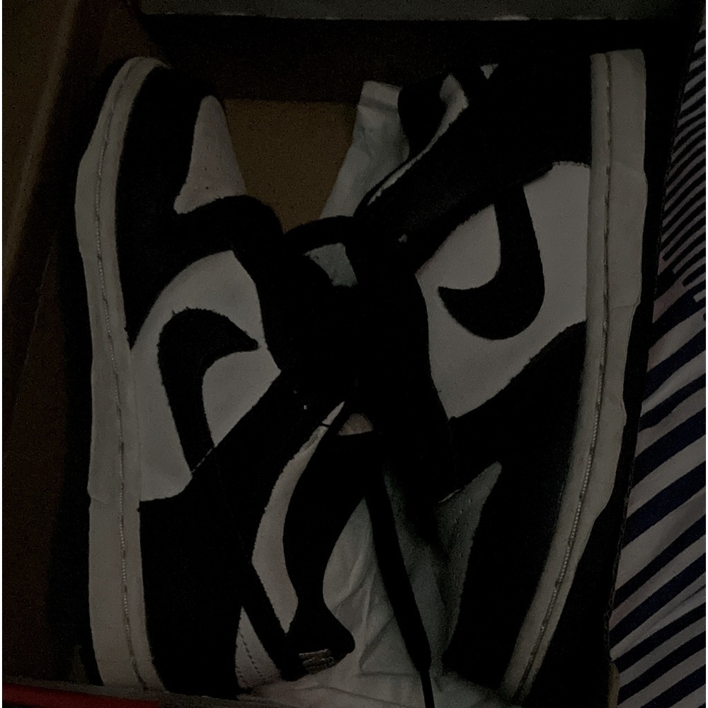 Hi I’m selling these gentle used panada dunks